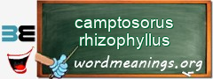 WordMeaning blackboard for camptosorus rhizophyllus